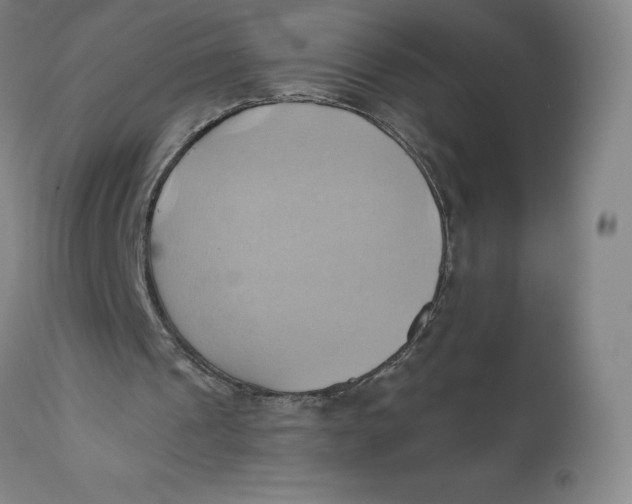 X0000110680241200907021917
