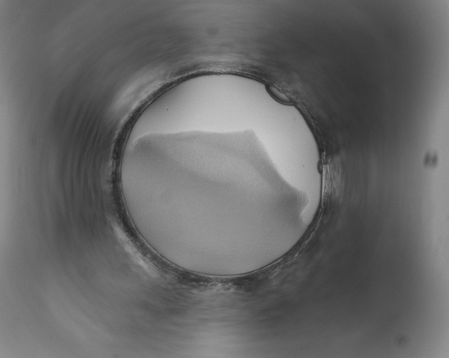 X0000110680243200907021917