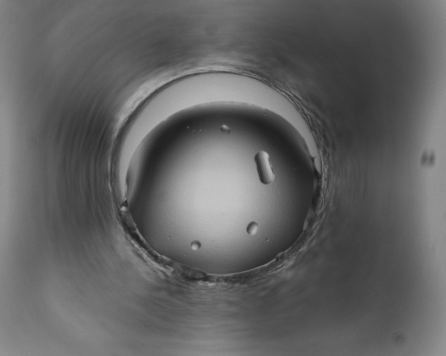 X0000110680244200907021917