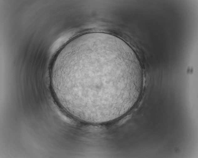 X0000110680245200907021917
