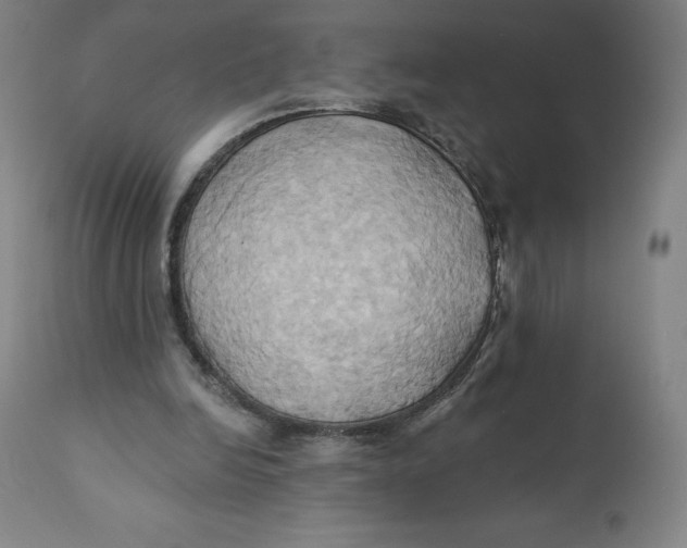 X0000110680246200907021917