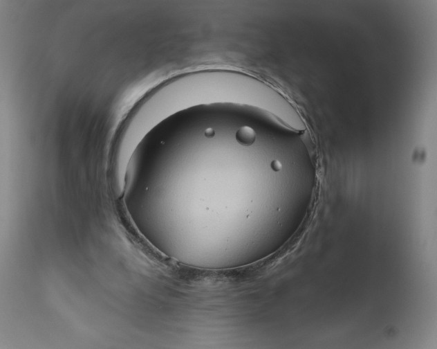 X0000110680248200907021917