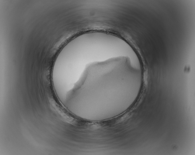 X0000110680249200907021917