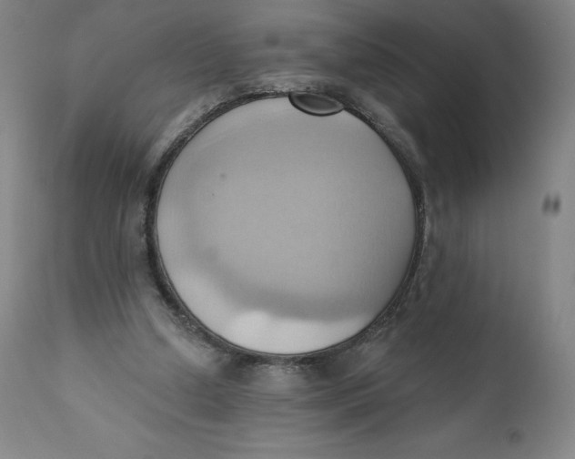 X0000110680250200907021917