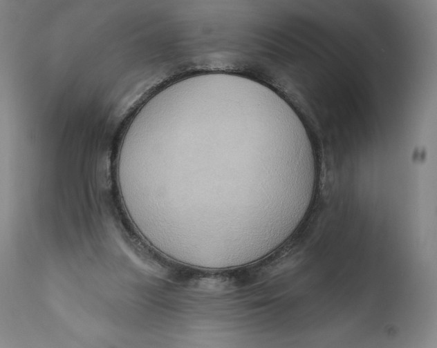 X0000110680251200907021917
