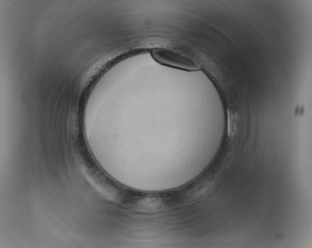 X0000110680252200907021917