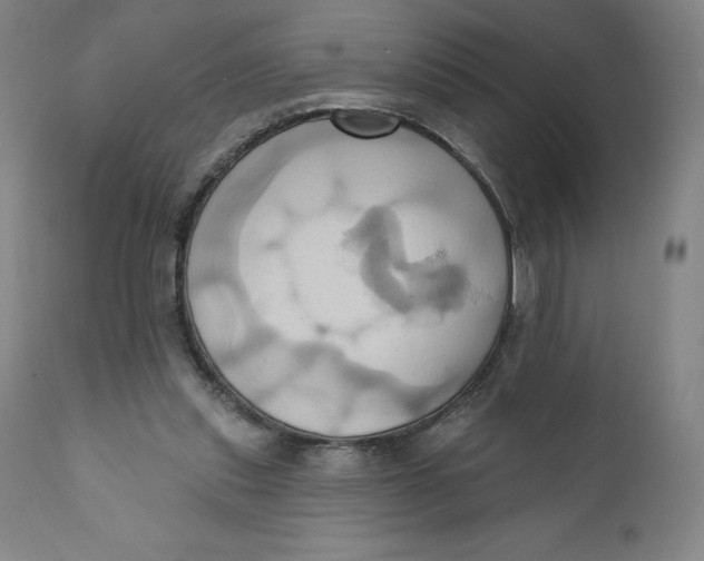 X0000110680253200907021917