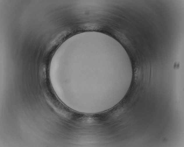 X0000110680254200907021917