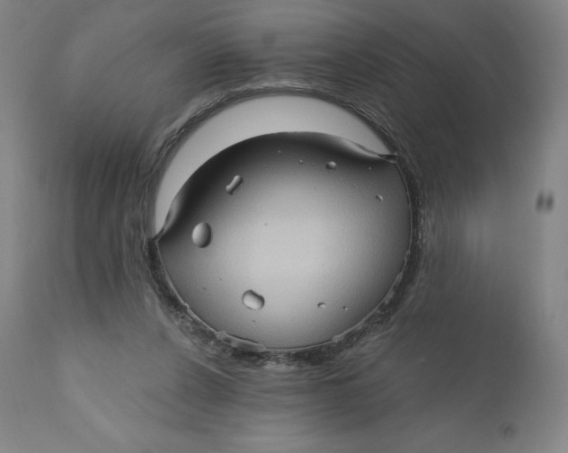 X0000110680256200907021917