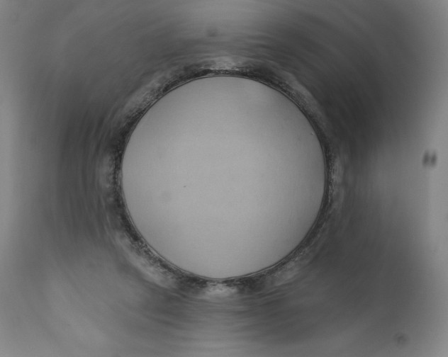X0000110680257200907021917