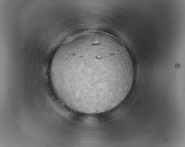 X0000110680258200907021917