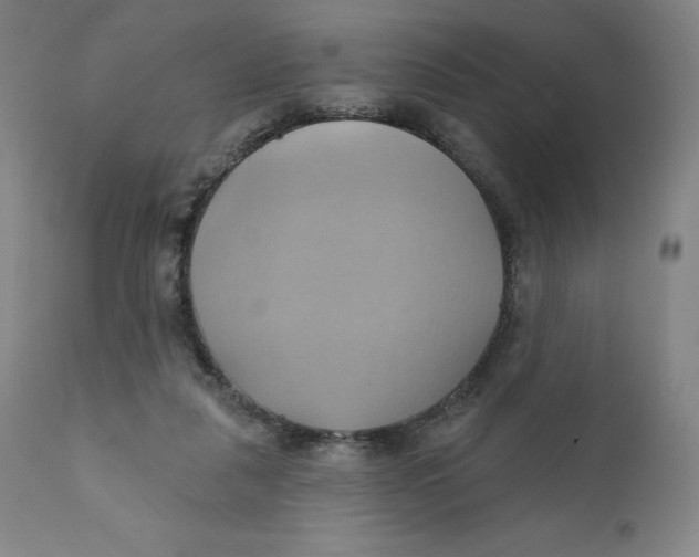 X0000110680259200907021917