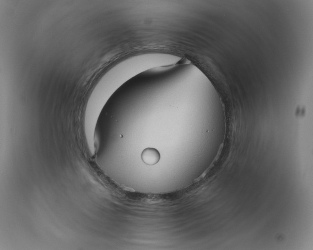 X0000110680260200907021917