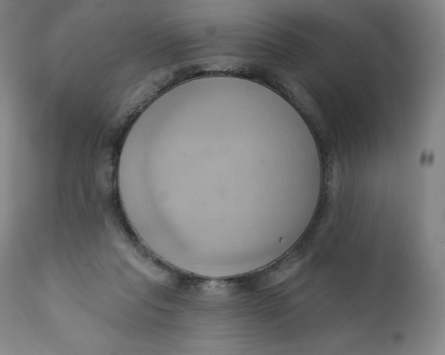 X0000110680261200907021917