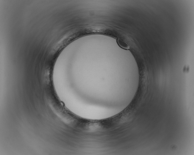 X0000110680262200907021917