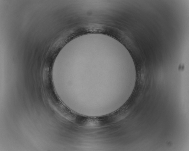 X0000110680263200907021917