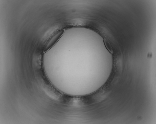 X0000110680264200907021917