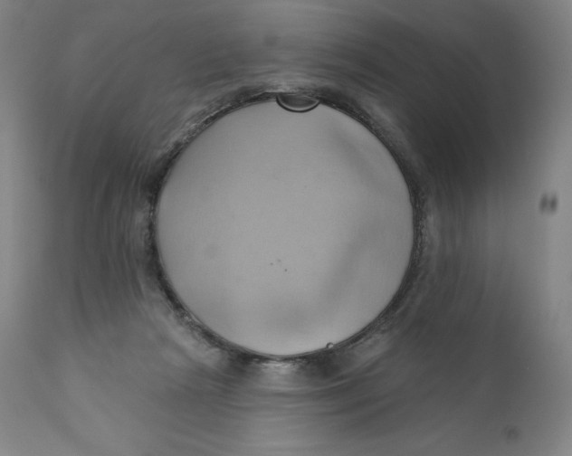 X0000110680265200907021917