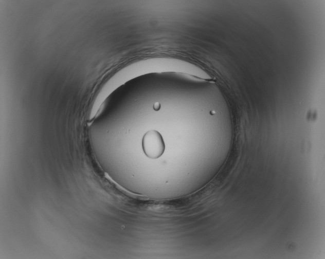 X0000110680268200907021917
