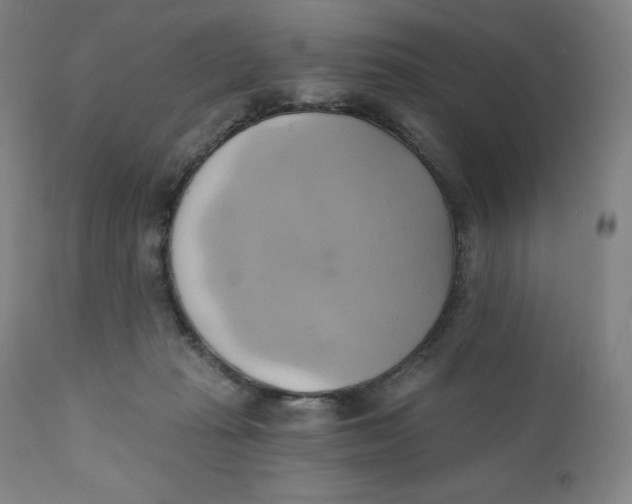 X0000110680269200907021917