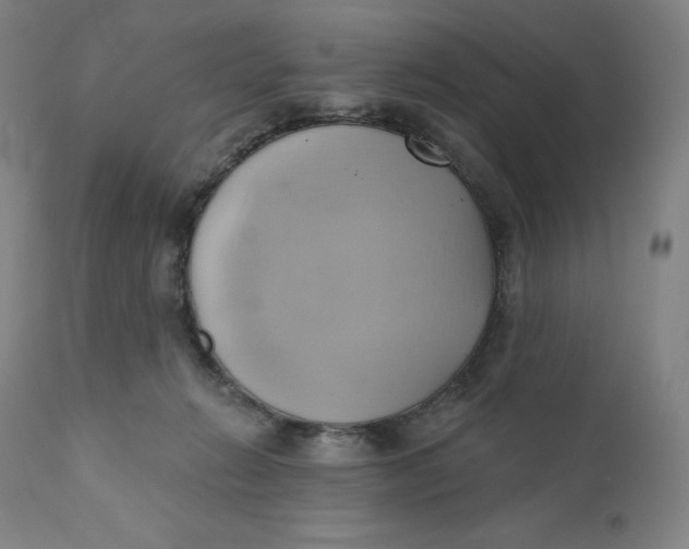 X0000110680270200907021917