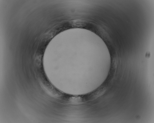 X0000110680271200907021917