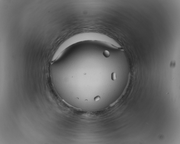 X0000110680272200907021917