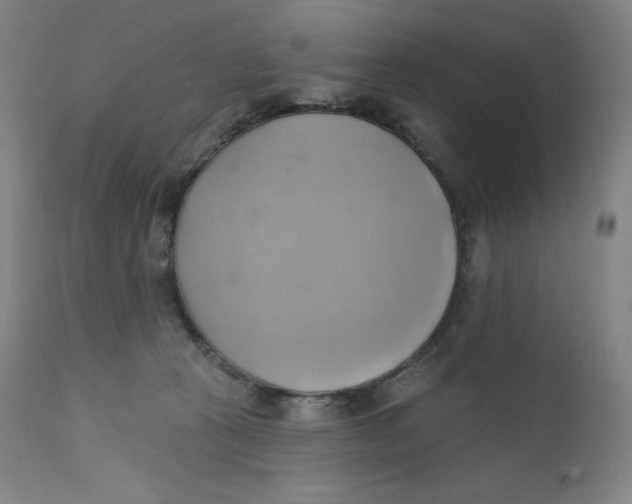 X0000110680273200907021917