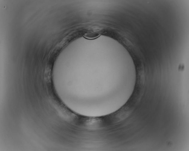 X0000110680274200907021917