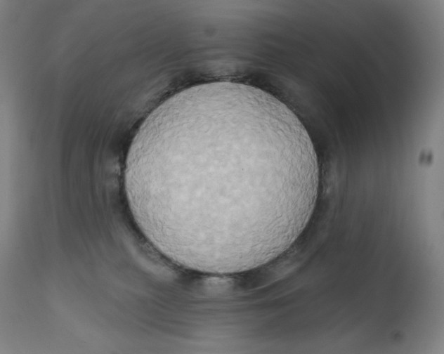 X0000110680279200907021917