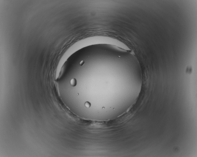 X0000110680280200907021917