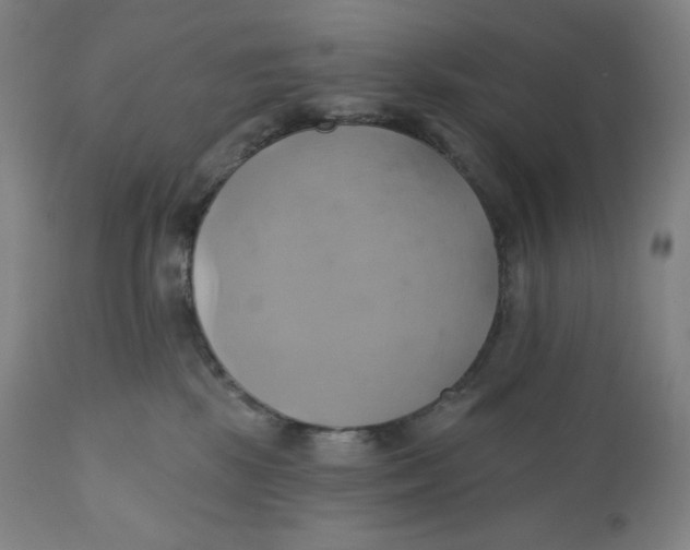 X0000110680281200907021917