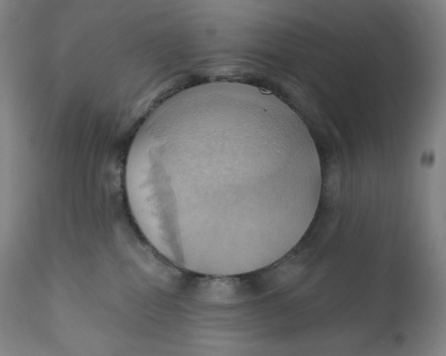 X0000110680282200907021917
