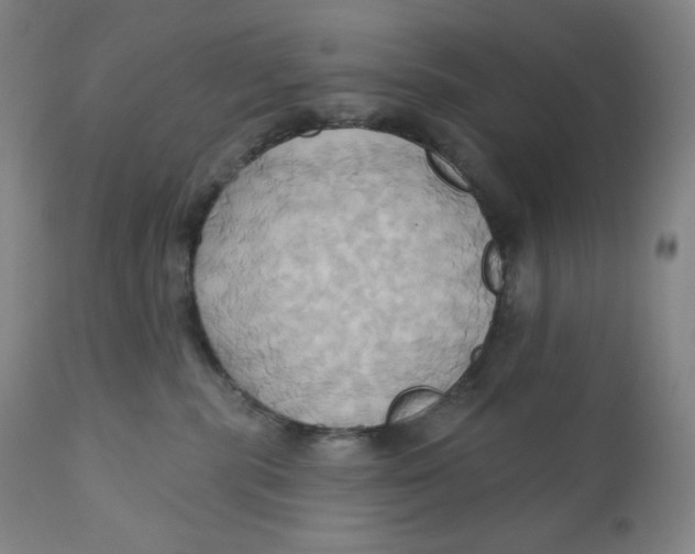 X0000110680283200907021917