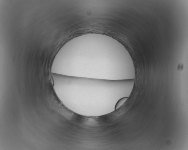 X0000110680285200907021917
