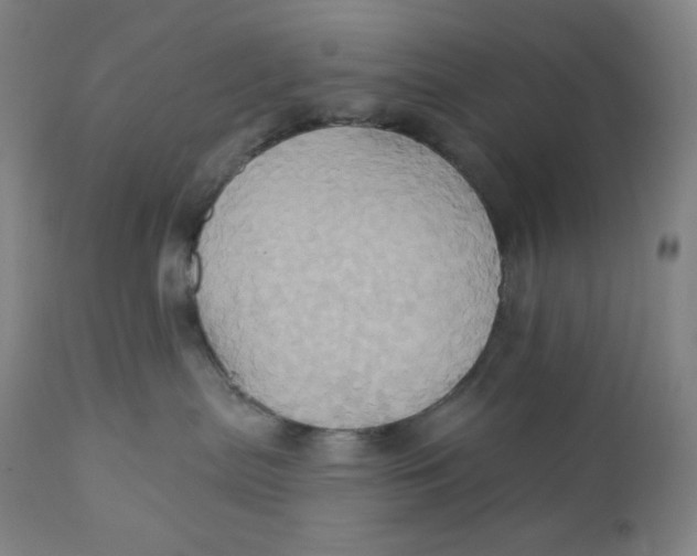 X0000110680287200907021917