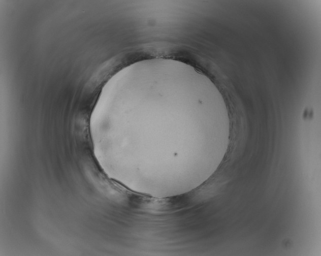 X0000110680288200907021917
