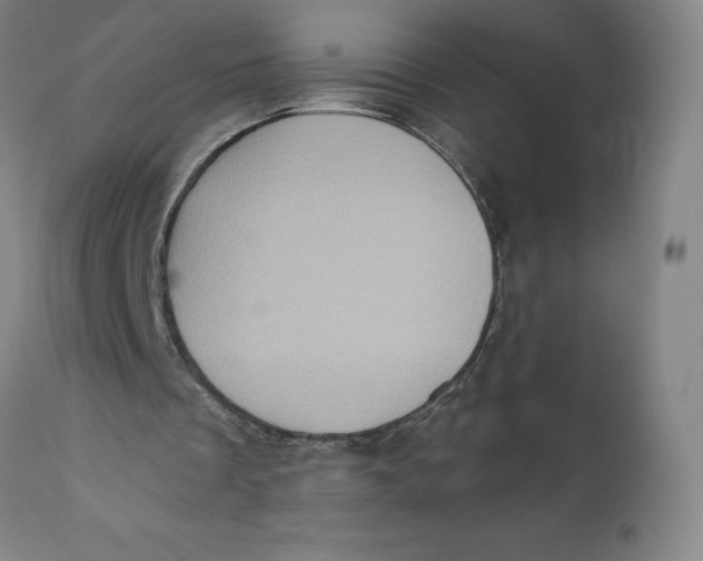 X0000110680289200907021917