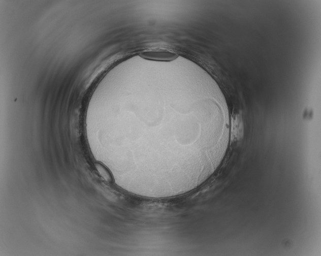 X0000110680291200907021917