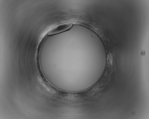 X0000110680292200907021917