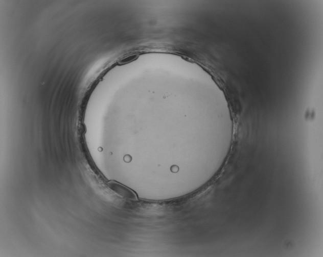 X0000110680293200907021917