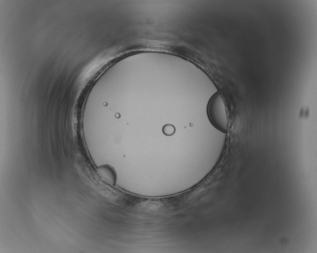 X0000110680294200907021917