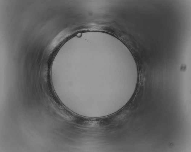 X0000110680295200907021917