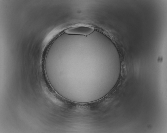 X0000110680296200907021917