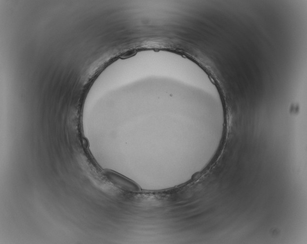X0000110680297200907021917