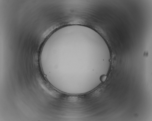 X0000110680298200907021917