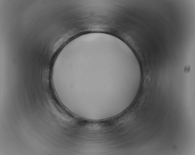 X0000110680299200907021917