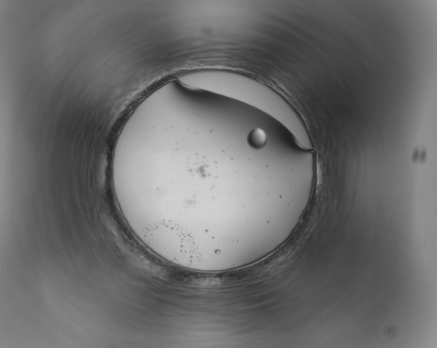 X0000110680301200907021917