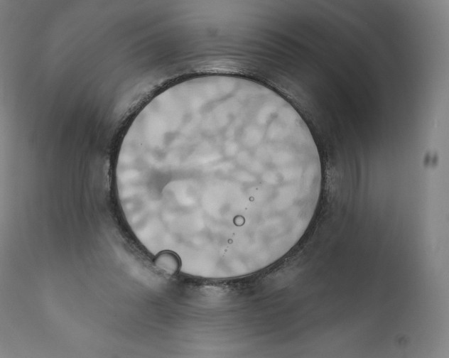 X0000110680302200907021917