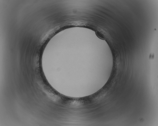 X0000110680303200907021917